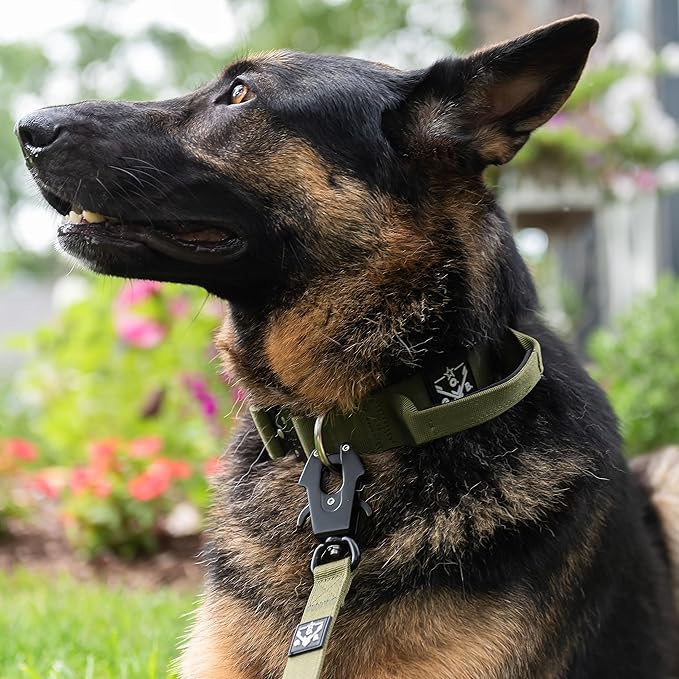 Operation Good Boy Tactical Dog Collar – Heavy Duty Military-Grade Nylon with Quick Release Buckle & Training Handle – Adjustable for Medium and Large Dogs (Green)