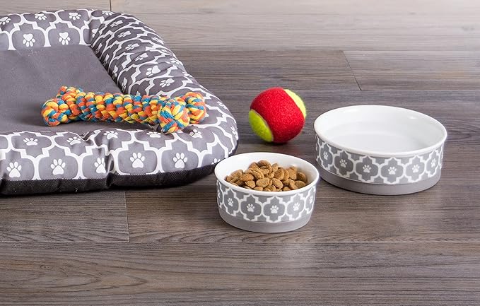 Bone Dry Lattice Collection Pet Bowl & Canister, Single Dish, Small 4.25x2", Gray