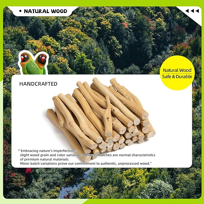Natural Wood Bird Perch for Top of Cage, Cage Top Perch Play Stand for Parakeets, Cockatiels, Lovebirds and Small Conures, Multi-Level Training Branch for Small Medium Birds