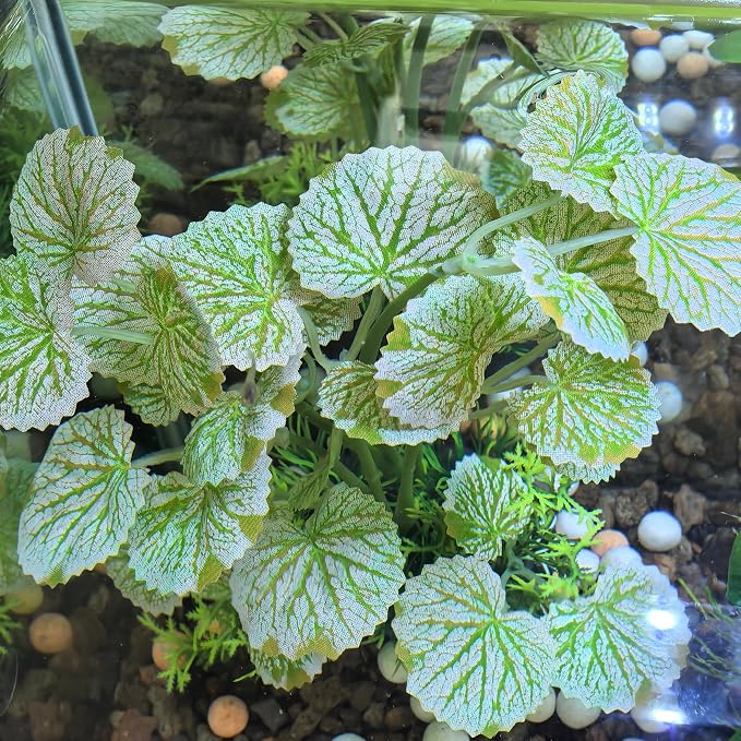 M2cbridge Fish Tank Plastic Soft Grass Water Plants 2pcs Serrated Leaf | zero maintenance, soft without scratching, healthy underwater home
