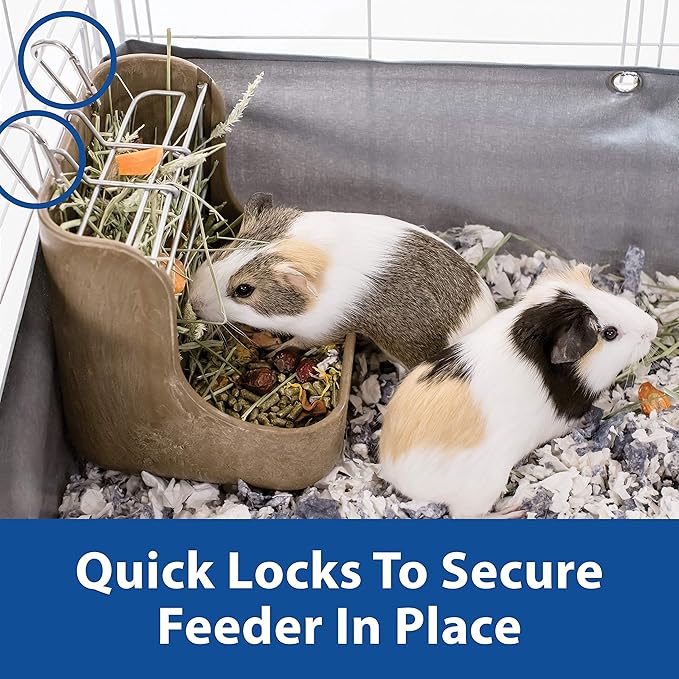 Kaytee Hay & Food Bin Feeder with Quick Locks for Pet Rabbits, Chinchillas, Guinea Pigs and Other Small Animals (Pack of 2)