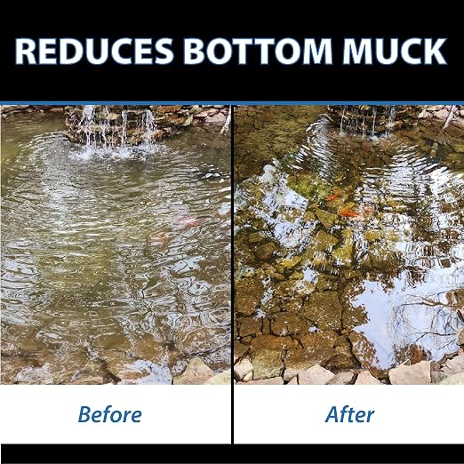 CrystalClear MuckOff Natural Pond Muck Treatment Sludge Remover, 48 Tablets | Living beneficial bacteria clarifier with enzyme for water gardens, fountains & bird baths; fish, aquatic animal & pet safe