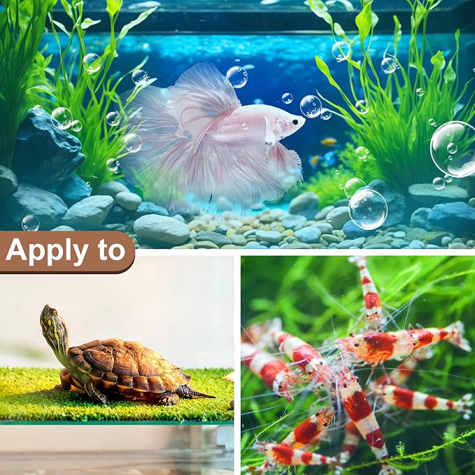 Large Catappa for Fish, Indian Almond Leaves, 5-8 Inch, 250g,100 Pcs | Balance aquarium water.Ideal water conditioner for betta fish and shrimp.Decorative landscaping in fish tanks