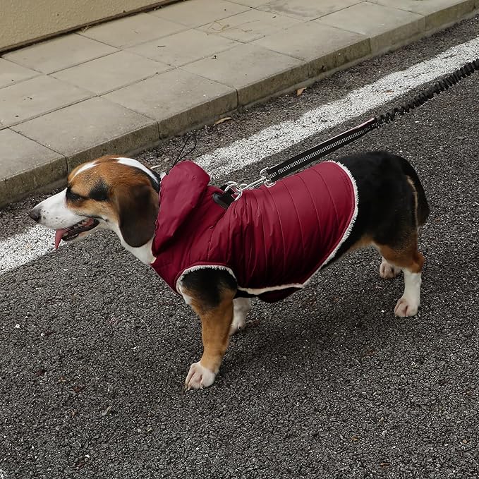 Vecomfy Fleece Lining Dog Hoodie with Harness Built in,Extra Warm Small Dog Jacket in Winter Puppy Coats with Drawstring Hooded,Red M