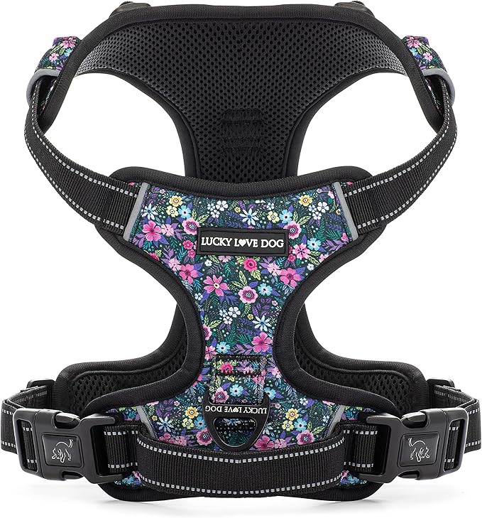 Lucky Love Dog No Pull Dog Harness, Adjustable and Easy to Walk, Cute Patterned Harness for Small Male & Female Dogs - Primrose, XS