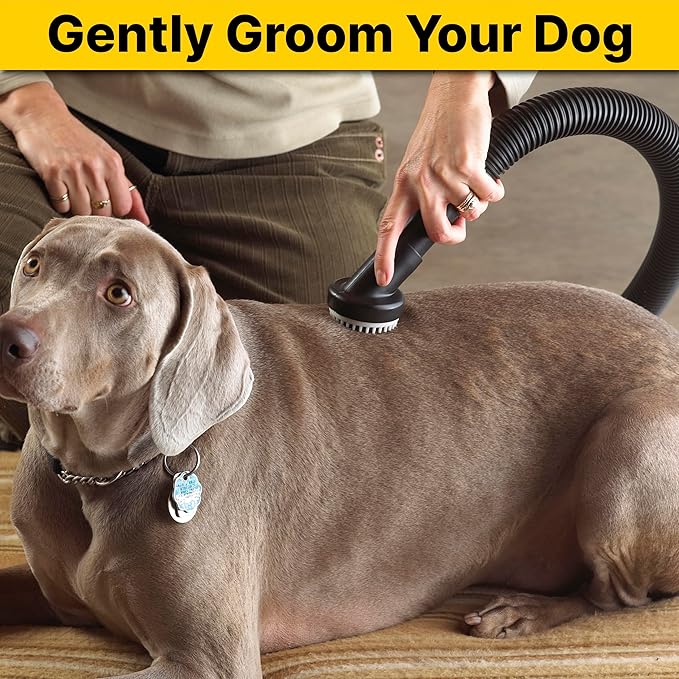 Shop-Vac 9190400 Dog Grooming Tool, 1.25 Inch Diameter, Soft Bristles for Gentle Pet Grooming and Vacuuming, (1-Pack)