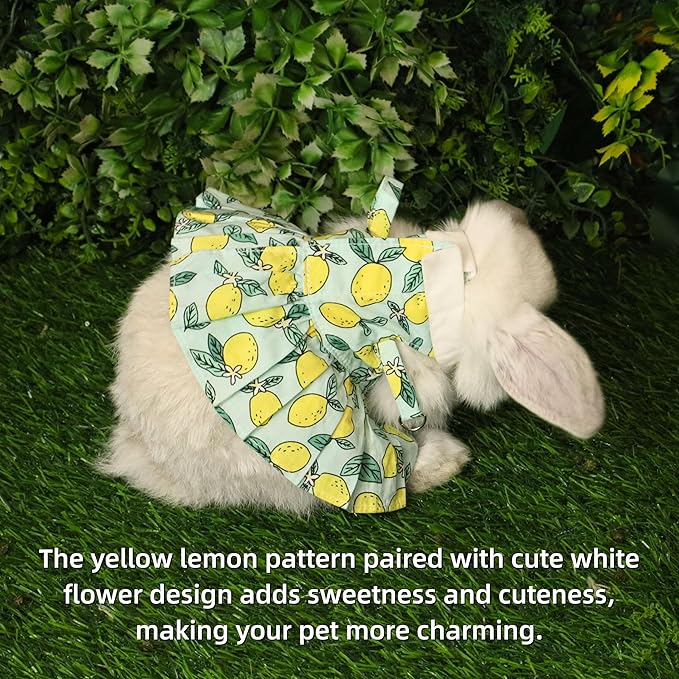 SMOLKITH Rabbit Clothes - Bunny Adjustable Summer Lemon Print Dress with Leash, Small Animal Apparel for Walking - Fits Meerkats, Chinchillas, Guinea Pigs, Marmots and More
