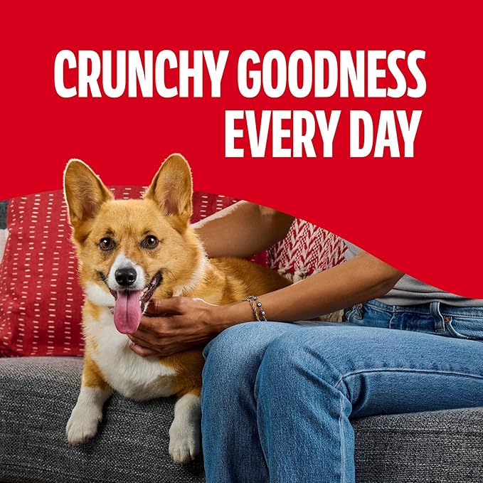 Milk-Bone Mini's Flavor Snacks Dog Treats, 15 Ounce (Pack of 6) Crunchy Texture Helps Reduce Tartar