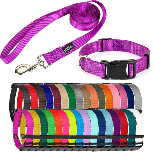 Country Brook Petz - Everyday Nylon Dog Collar and Leash - 10+ Cool Colors (1 Inch, Large, Bright Purple)