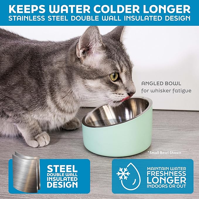 Master Pet Supply Stainless Steel Slanted Dog Cat Food Bowl - 24 oz Heavy Duty - Hyper Pink, Double Wall Insulated, Non-Slip Elevated Bowl for French Bulldogs Pugs Cats, Anti Rust Dishwasher Safe
