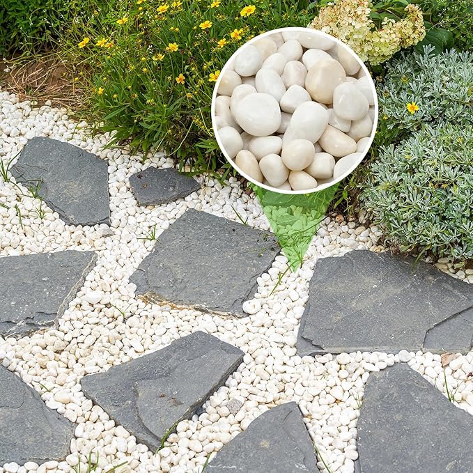 Mr. Fireglass 5lb White River Rocks, 3/8 inch Natural Decorative Polished Pebbles Aquarium Gravel Stones for Landscaping, Indoor Plants, Vase, Succulent, Fish Tank