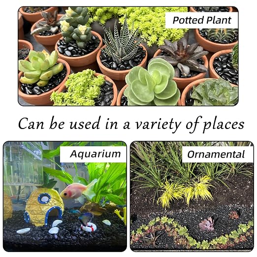 CJGQ 45lb 1/4" Small Pebbles Black for Plants,Potting,Succulents Aquarium Fish Tank Vases Decorative Garden Polished Gravel Rocks Stones