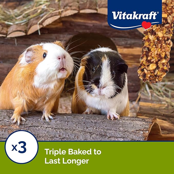 Vitakraft Crunch Sticks Guinea Pig Treat - Apple and Orange Flavor – Triple Baked for Extra Crunch – Natural Wood Chew Center with Cage Clip Holder – Added Vitamins and Minerals – 2 Sticks - 3.5 Oz