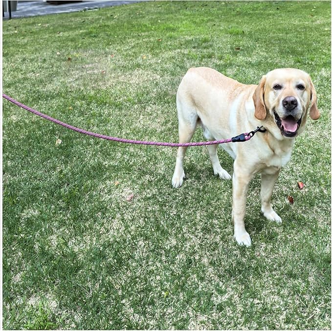 MayPaw Heavy Duty Rope Dog Leash, 6/8/10FT Nylon Pet Leash, Soft Padded Handle Thick Lead Leashes for Large Medium Dogs Walking Jogging (1/2" * 6', Pink Black)