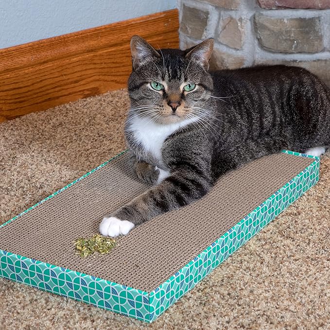 Kitty City Cat Premium Natural Catnip Collection, Catnip With Silvervine