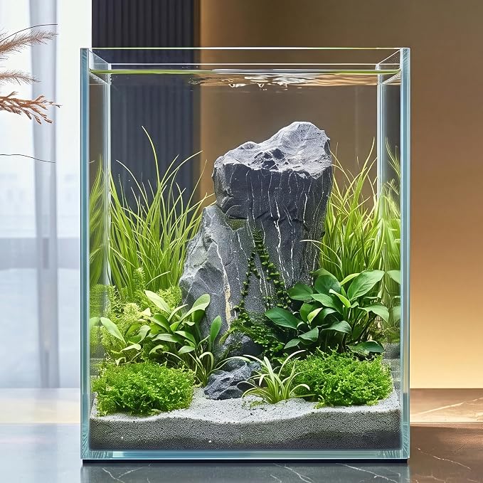 2.16 Gallon Glass Fish Tank, Low Maintenance Small Aquarium for Betta Fish, Snails, Shrimp & Aquatic Plants