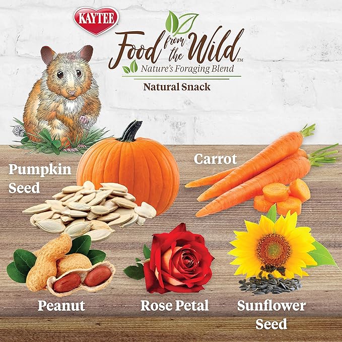 Kaytee Food from The Wild Natural Snack for Pet Hamsters, Gerbils, Rats and Mice, 2 Ounces (Pack of 2)