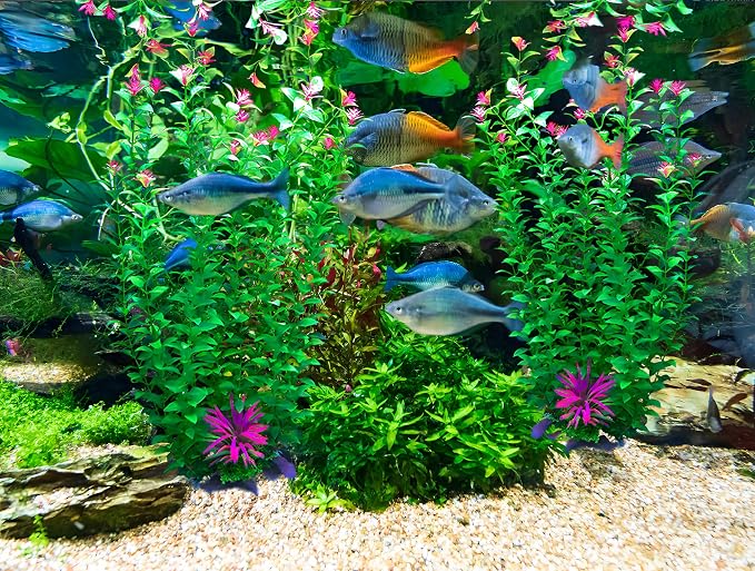 2 pcs Aquarium Decor Plants 21 Inches Extra Large Artificial Plastic Fish Tank Plants with Flowers, Tall Fish Tank Decoration for Betta Fish Tank