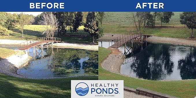 Healthy Ponds Aquasphere Pro Biodegradable Pond Treatment, Treats up to 50,000 Gallons | Biodegradable Pond Treatment
