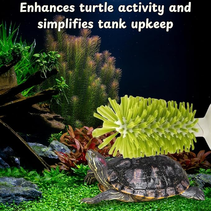 Turtle Brush with Suction Cup & Feeding Ring, 2-Piece Cleaning & Feeding Set (Green)