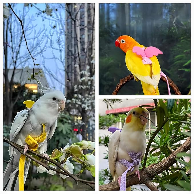 3 Sets Pet Parrot Bird Harness and Leash with Cute Wing, Adjustable Bird Flying Harness Straps Outdoor Training Traction Rope for Parrots Pigeons Lovebird Cockatiel(L,Pink, Yellow&Purple)