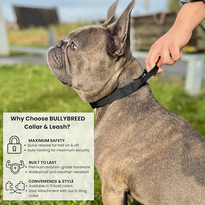 Tactical Dog Collar for Puppy, Heavy Duty Puppy Collar, Dog Collar for Small Dogs, Waterproof Dog Collar, Dog Training Collar, Quick-Release Metal Buckle, Adjustable Sizes – BULLYBREED (Black, Small)