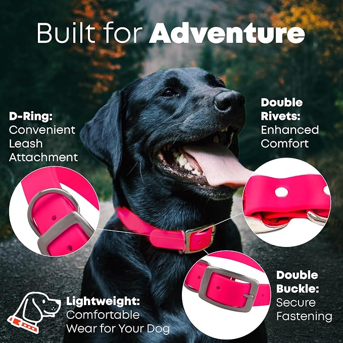 Regal Dog Products Small Pink Dog Collar with Heavy Duty Double Buckle & D Ring | Vinyl Coated, Custom Fit, Adjustable Biothane Dog Collar | Chew Resistant Waterproof Collar for Dogs