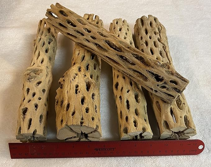 Awesome Aquatic XL Cholla Wood Tubes, Teddy Cane, 12" x 2–3" | XL Hideouts • Hollow tubes • Natural biofilm surface • Secure hideouts • Shrimp plecos hermit crabs reptiles • Natural décor