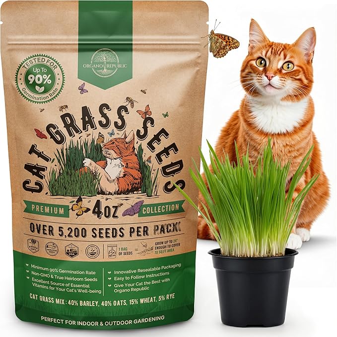 Cat Grass Seeds Mix - 5,200 Non-GMO Heirloom Seeds for Cats & Pets, 4 oz Pack for Growing Fresh Barley, Oat, Rye & Wheat Grass Seeds for Planting, Indoor Plants for Pets, Hairball Remedy for Cats