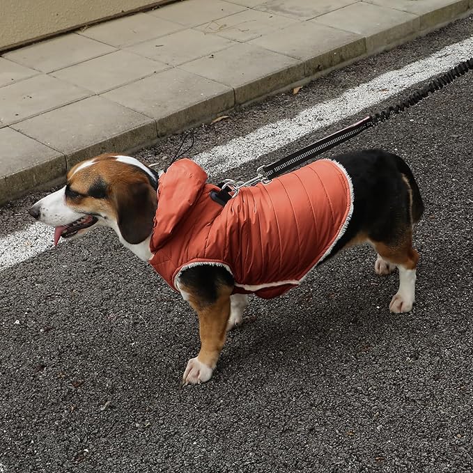 Vecomfy Fleece Lining Dog Hoodie with Harness Built in,Extra Warm Medium Dog Jacket in Winter Doggie Coats with Drawstring Hooded,Orange XL
