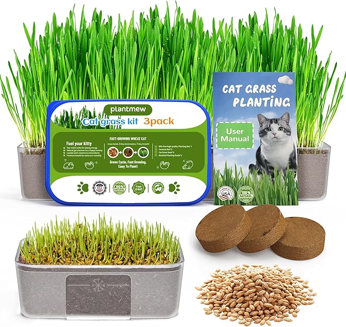 Cat Grass Growing Kit for Indoor Cats – Fast Growing (3-7 Days Harvest), Wheat Seeds, BPA-Free Planter & Soil – Helps Hairball Control, Digestion & Fresh Breath – Green Fresh (3 Pack)
