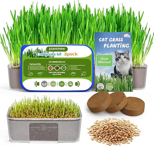 Cat Grass Growing Kit for Indoor Cats – Fast Growing (3-7 Days Harvest), Wheat Seeds, BPA-Free Planter & Soil – Helps Hairball Control, Digestion & Fresh Breath – Green Fresh (3 Pack)