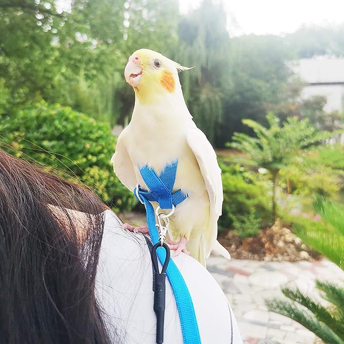 Pet Parrot Bird Harness Leash Adjustable Bird Flying Harness Traction Rope with Cute Wing for Parrots Pigeons Budgerigar Lovebird Cockatiel Mynah Outdoor Training Toy (Blue,S)