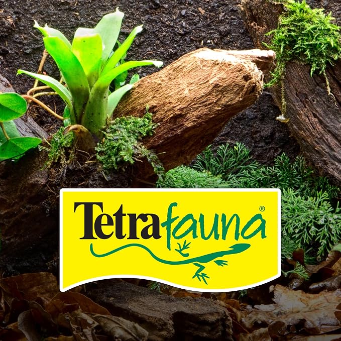Tetra ReptoFilter Medium Filter Cartridges for Terrariums, 3 Count | For TetraFauna ReptoFilter 20 gal, Viquarium & Decorative ReptoFilter, Removea Debris, Waste & Odors, Replace Every 4 Weeks