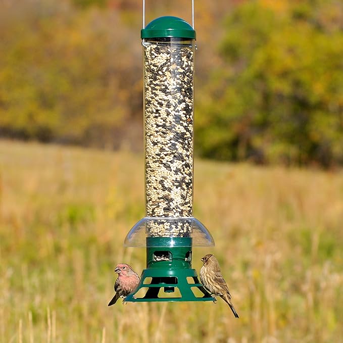 Perky-Pet 5141-2 Squirrel Slammer Wild Bird Feeder , Green