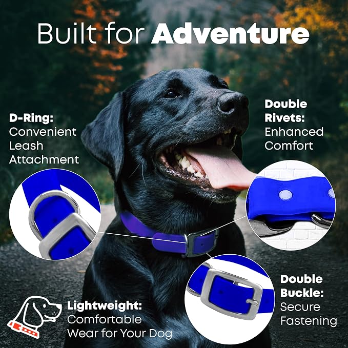 Regal Dog Products Large Blue Dog Collar with Heavy Duty Double Buckle & D Ring | Vinyl Coated, Custom Fit, Adjustable Biothane Dog Collar | Chew Resistant Waterproof Collar for Dogs