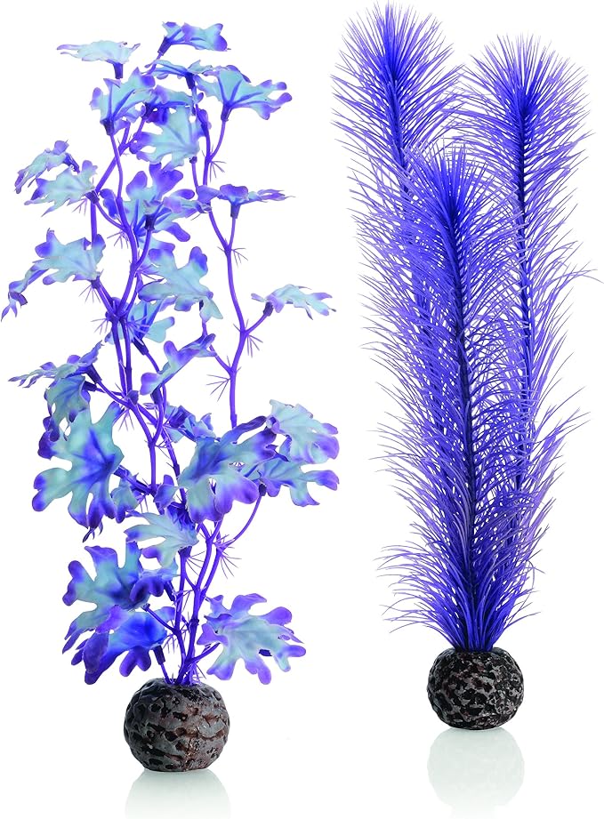 BiOrb 46080.0 Kelp Set Medium Purple Aquariums