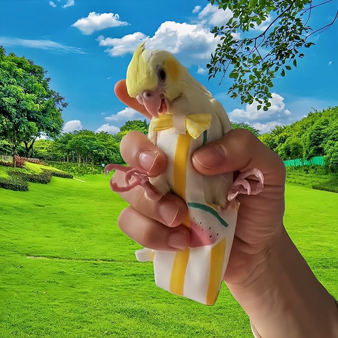 2Pcs Bird Diapers Bird Harness Flight Suits Diapers with 80 Inch Flying Leash Parrot Nappy Washable Cute Urine Wet Suit for Cockatiel Conure Macaw Budgies Parakeet-Kitten&Watermelon,M