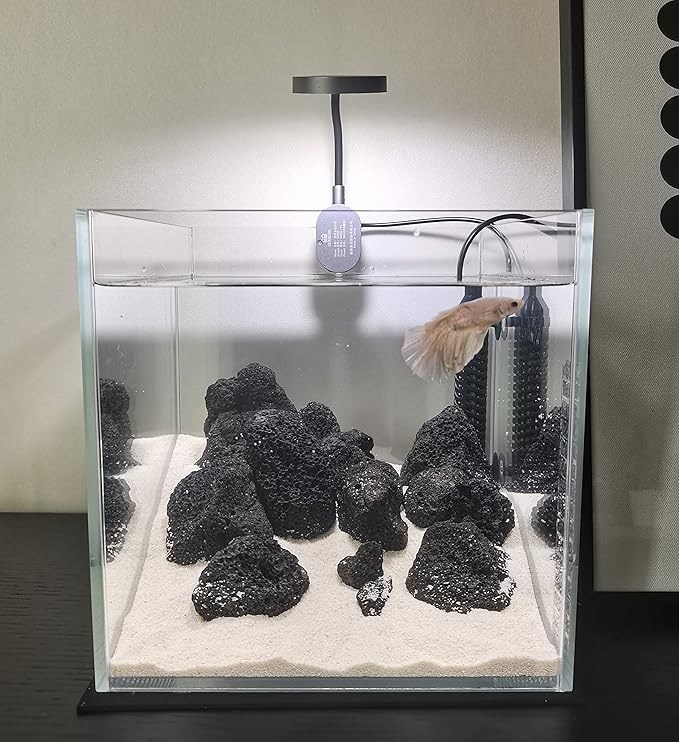 AWXZOM Small Nano Tall Rimless Tank, Glass Fish Tank, Betta Tank (2 Gallon 7.8x7.8x7.8inch/20x20x20cm)