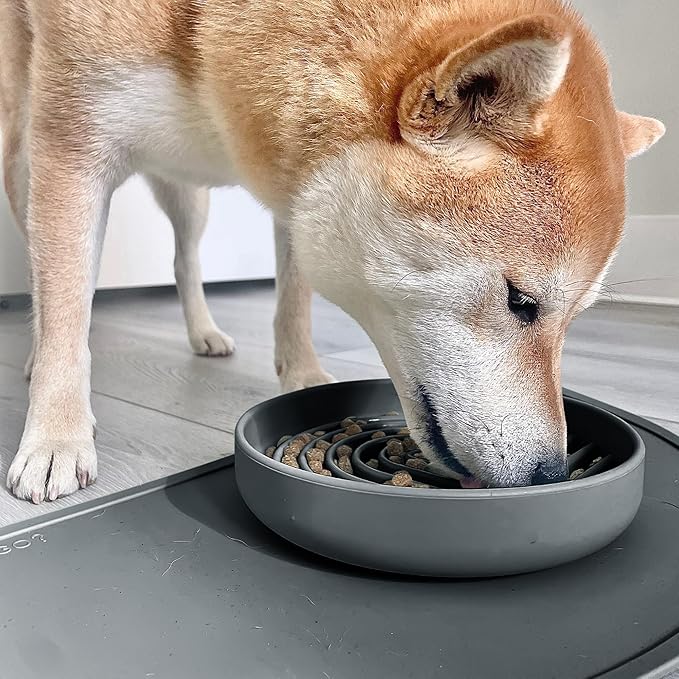 Should We Go? Slow Feeder for Dogs & Puppies, The Slowdown Bowl Silicone Slow Eating, Modern Lick Mat Design, Reduces Gulping, Fits 2 Cups, 7.5” Across x 1.5” Tall, Mealtime Challenge, Medium-Charcoal