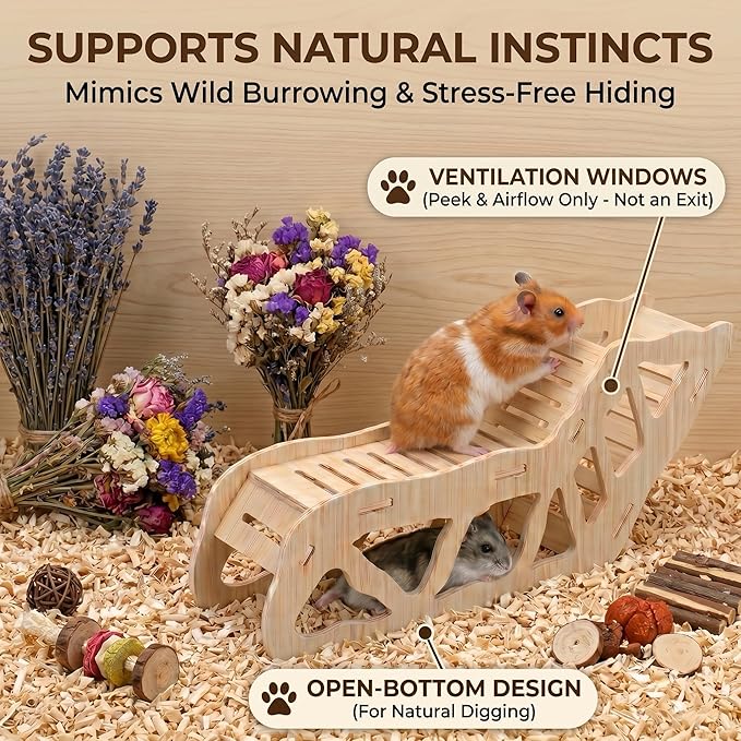 3-Piece Wooden Hamster Platform Set & Tunnel Hideout, Enrichment Natural Wood Hamster Cage Accessories, Climbing Toys & Hides for Syrian, Dwarf, Gerbil, Mice, Habitat Essentials & Decor