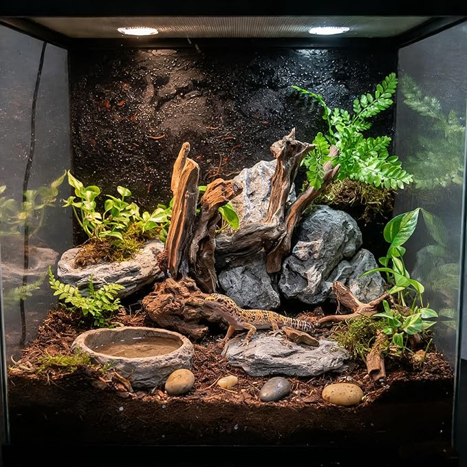 2pcs emours Natural Mopani Wood Fish Tank Decor Aquarium Driftwood Terrarium Wood, 11-16 in