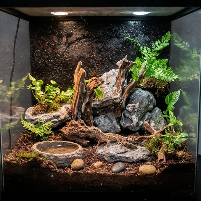 emours Aquarium Driftwood (8–12 in) 2 Pieces Natural Mopani Branches Assorted Size