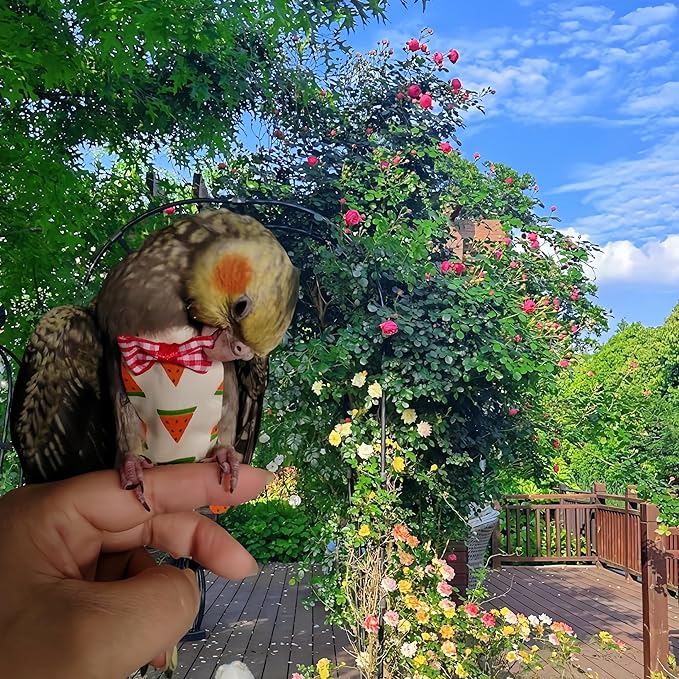 2 Pcs Bird Diapers Bird Harness Flight Suits Diapers with 80in Flying Leash Reusable Parrot Nappy with Waterproof Inner Layer for Cockatiel Budgie Conure Parakeet Lovebird-Watermelon&Orange