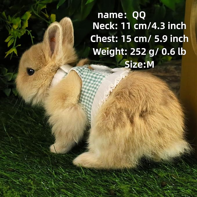 SMOLKITH Rabbit Clothes - Bunny Adjustable Checkered Dress with Leash, Small Animal Apparel for Walking - Fits Guinea Pigs, Chinchillas, Meerkats, Prairie Dogs, Pet Rats (Green Mini Gingham Dress)