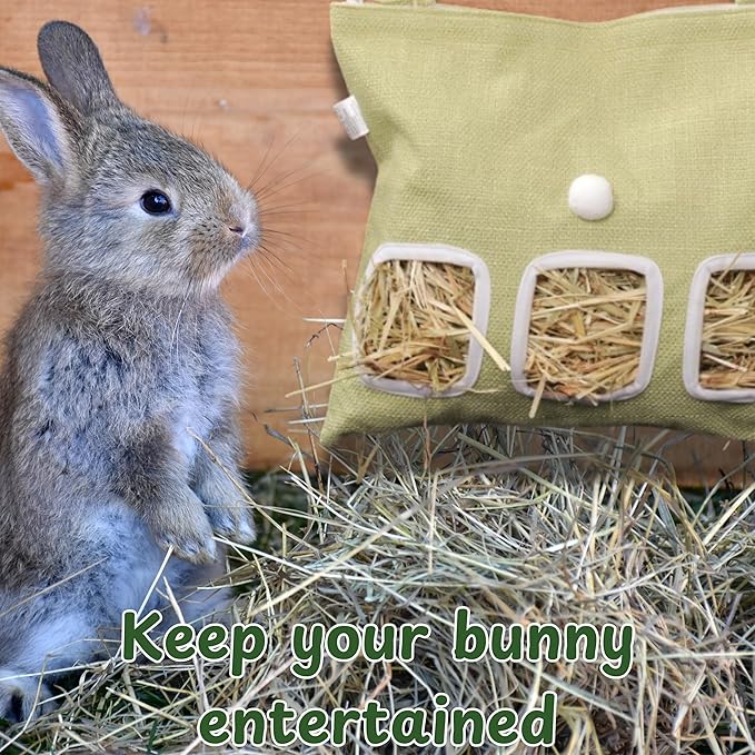 Cute Hanging Rabbit Hay Feeder Bag, Guinea Pig Hay Bag, Bunny Feeders Holder Storage For Small Pets Bunnies Chinchilla Hamster Rats, Guinea Pig Accessories For Cage, Bunny Accessories For Cage (Green)