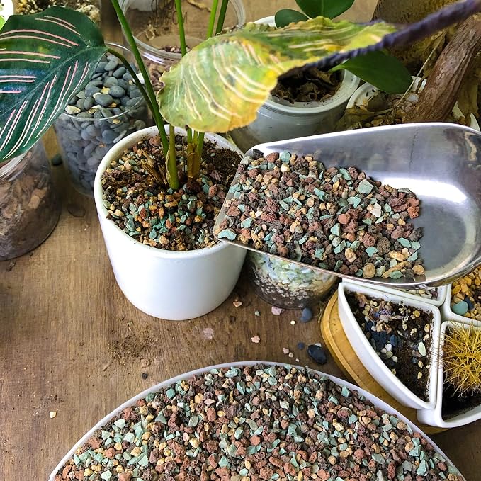 7lb Mix Horticultural Lava Rock Pebbles Pumice Potting Soil Amendment Succulent Cactus Bonsai Gritty Rock Decorative Gravel Plant Drainage Volcanic Rock for Aquarium Fairy Gardening Top Dressing