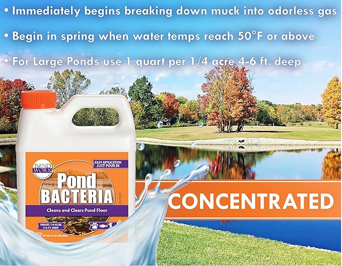 Pond Worx Pond Bacteria - Concentrated & Formulated for Large Ponds, Water Features - Safe for Koi - 32 Ounces & Treats up to a Quarter Acre Pond