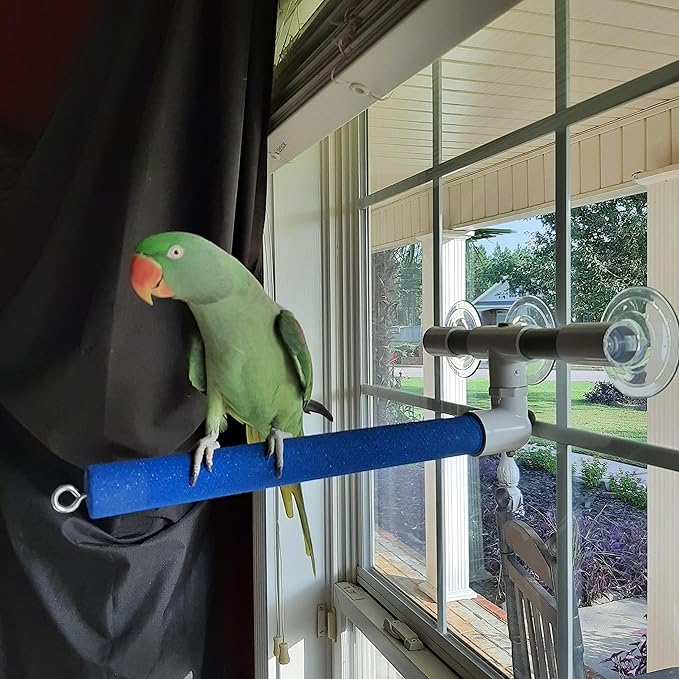 Polly's Sandy Window and Shower Bird Perch, Large
