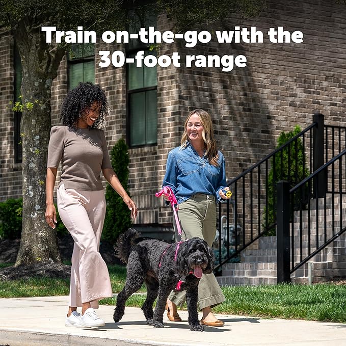 PetSafe Collarless Trainer Ultrasonic Bark Deterrent Handheld Anti Bark Device High-pitched Sound, Flashing Light and Variable Tone Rechargeable Battery Flashlight Wrist Strap